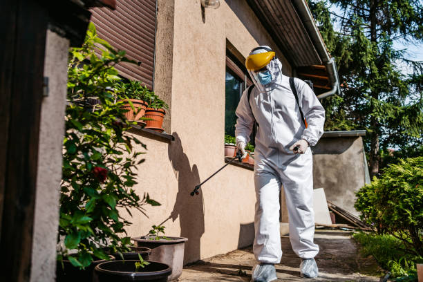 Flea Control Services in Lagunitas Forest Knolls, CA