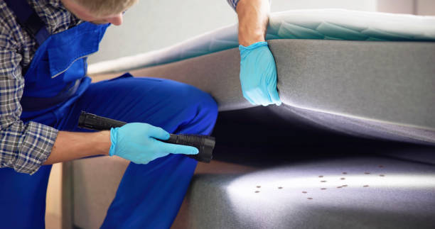 Best Affordable Pest Control Services  in Lagunitas Forest Knolls, CA