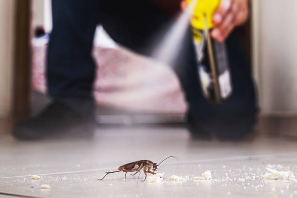 Best Local Pest Control Services  in Lagunitas Forest Knolls, CA